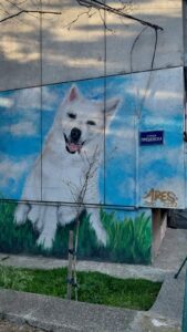 Mural Ares – Preševska – Marko – 2022